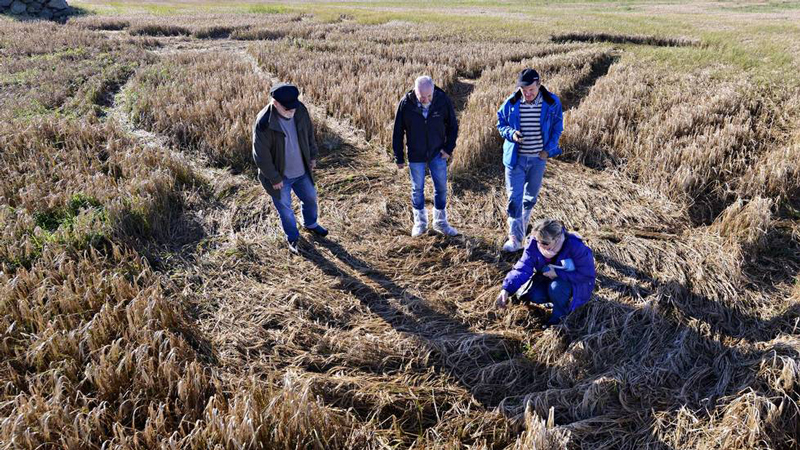 Klepp, Norway crop circle, aerial photo 19