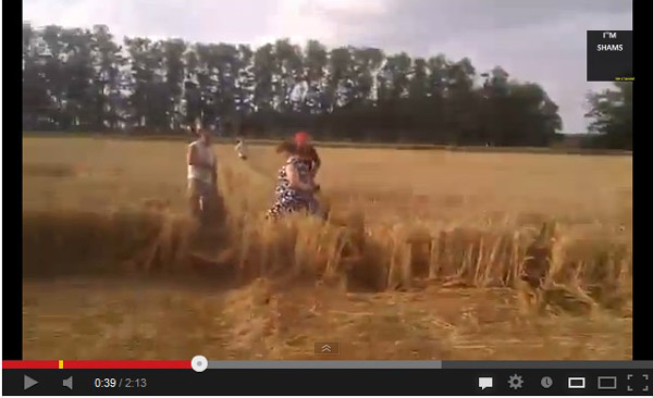 Novokorsunskaya, Russia crop circle, aerial photo 2