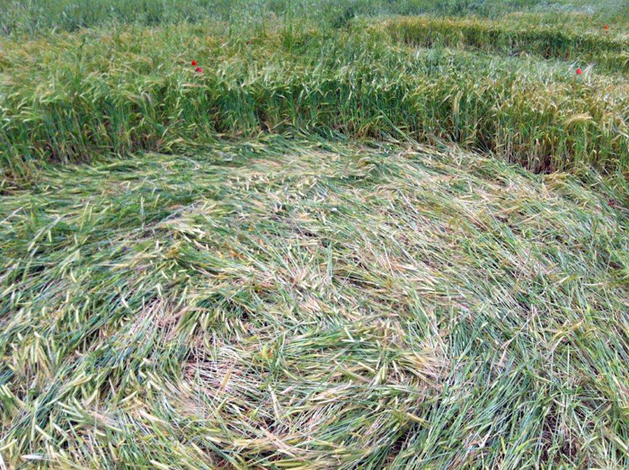 Palazzo, Italy crop circle, aerial photo 8