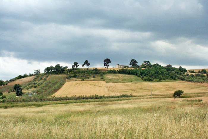 Palazzo, Italy crop circle, aerial photo 2