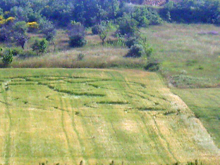 Palazzo, Italy crop circle, aerial photo 4