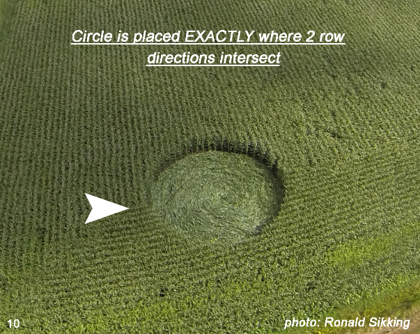 Crop Circle atPalinstraat, Netherlands crop circle, aerial photo 10