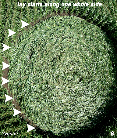 Crop Circle atPalinstraat, Netherlands crop circle, aerial photo 8