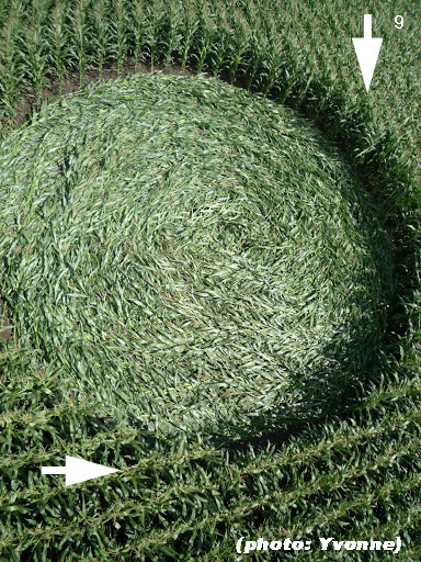 Crop Circle atPalinstraat, Netherlands crop circle, aerial photo 9