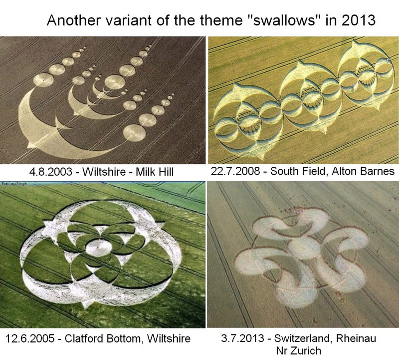Rheinau, Switzerland crop circle, aerial photo 16