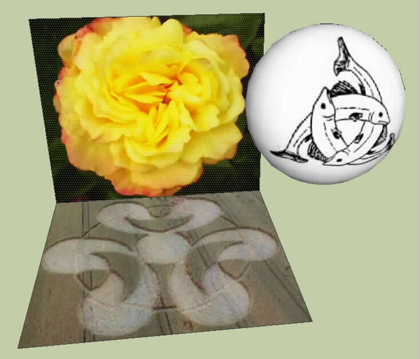Rheinau, Switzerland crop circle, aerial photo 5