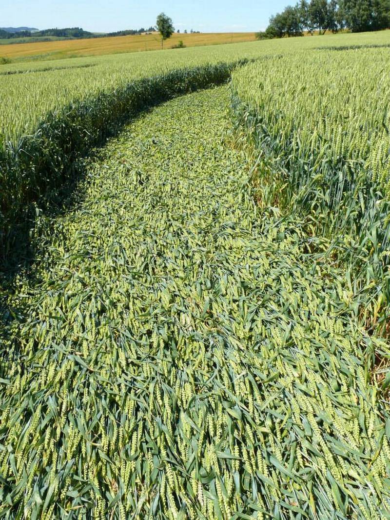 Rozseč nad Kunštátem, Czech Republic crop circle, aerial photo 9