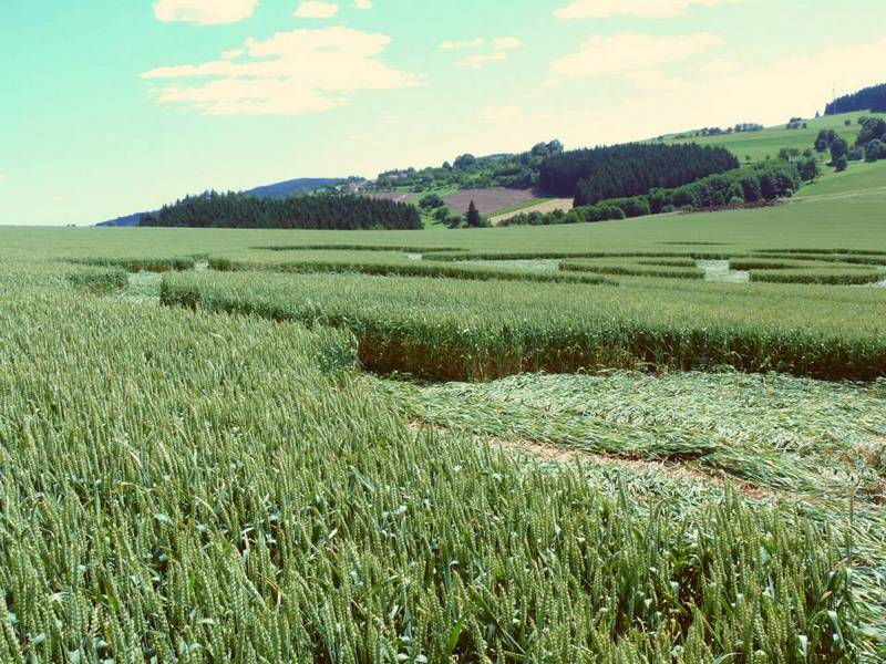 Rozseč nad Kunštátem, Czech Republic crop circle, aerial photo 18