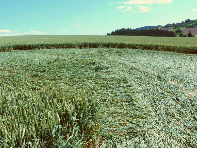 Rozseč nad Kunštátem, Czech Republic crop circle, aerial photo 24