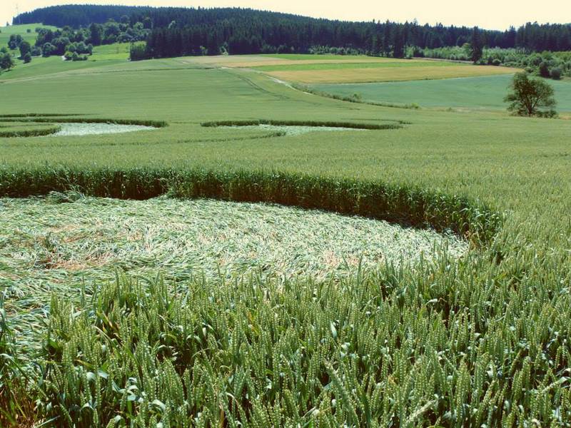 Rozseč nad Kunštátem, Czech Republic crop circle, aerial photo 29