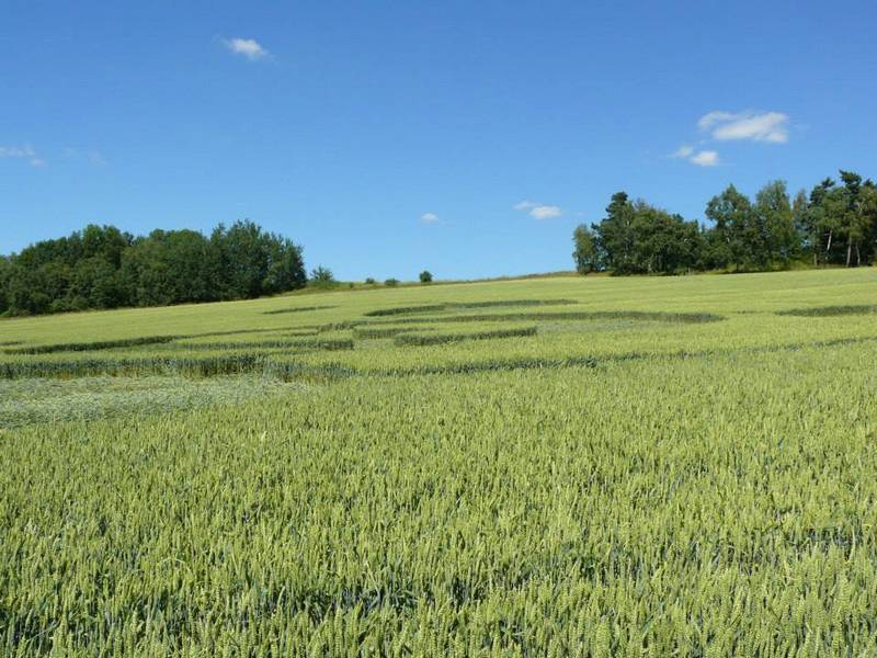 Rozseč nad Kunštátem, Czech Republic crop circle, aerial photo 42