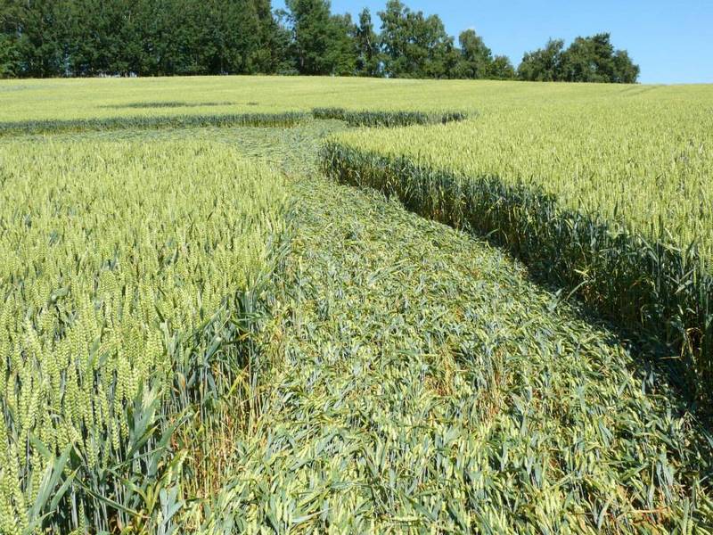 Rozseč nad Kunštátem, Czech Republic crop circle, aerial photo 40