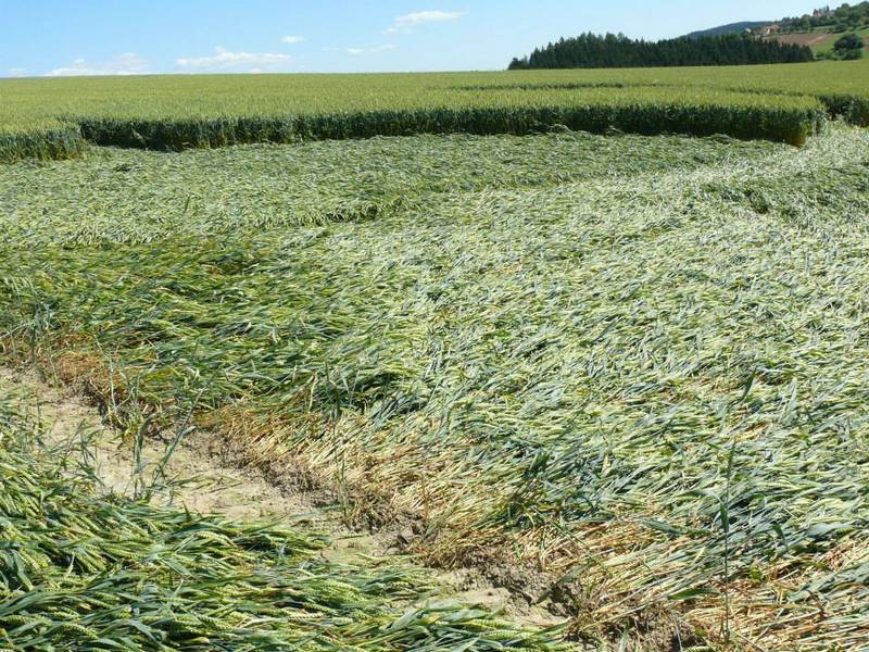 Rozseč nad Kunštátem, Czech Republic crop circle, aerial photo 38