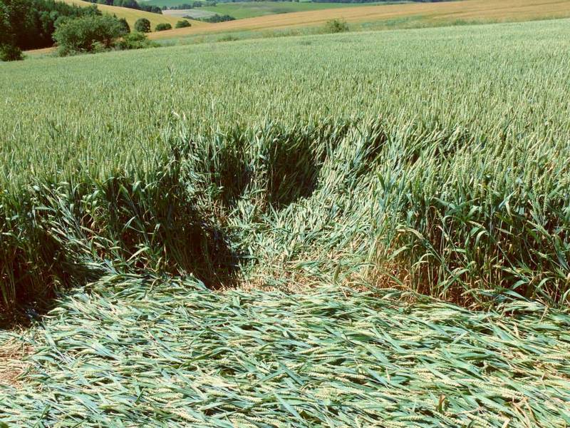 Rozseč nad Kunštátem, Czech Republic crop circle, aerial photo 31