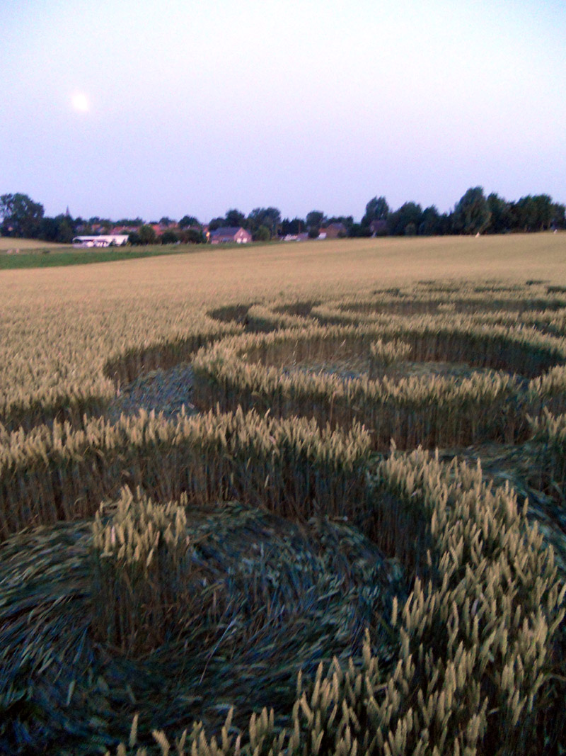 Rue Lenoir, Belgium crop circle, aerial photo 2