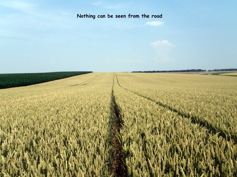 Rue Lenoir, Belgium crop circle, aerial photo 6