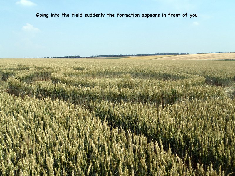 Rue Lenoir, Belgium crop circle, aerial photo 7