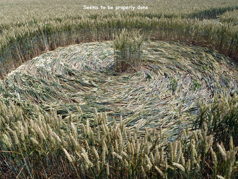 Rue Lenoir, Belgium crop circle, aerial photo 8