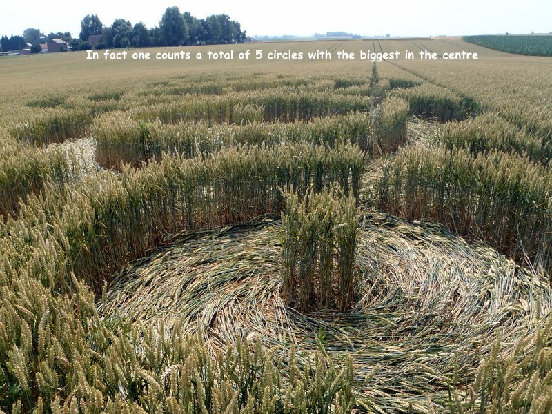 Rue Lenoir, Belgium crop circle, aerial photo 5