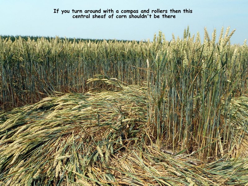 Rue Lenoir, Belgium crop circle, aerial photo 9