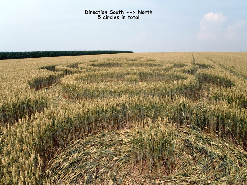 Rue Lenoir, Belgium crop circle, aerial photo 12