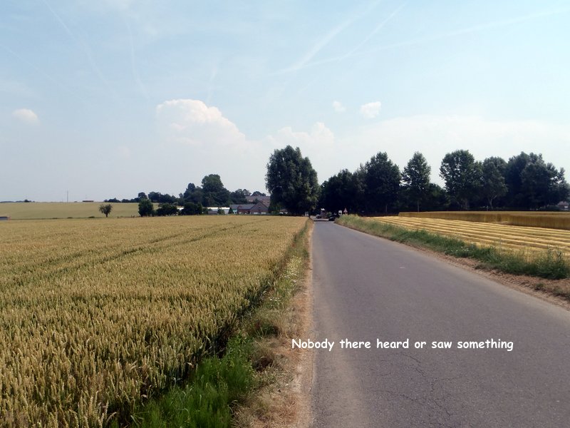 Rue Lenoir, Belgium crop circle, aerial photo 11