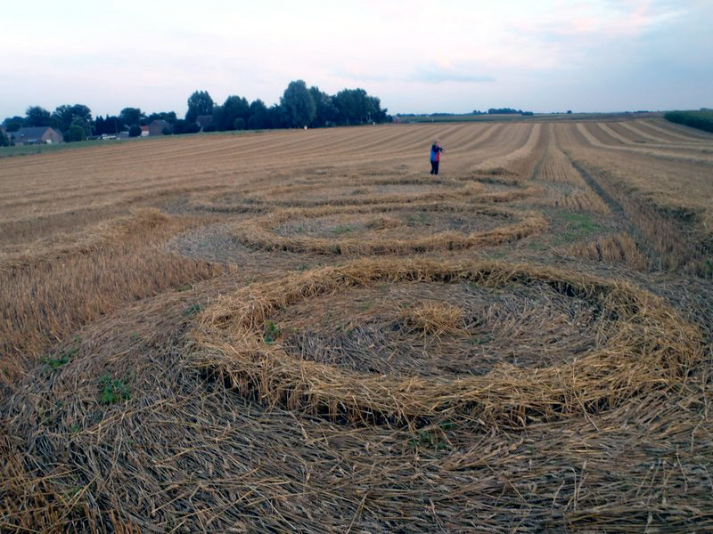 Rue Lenoir, Belgium crop circle, aerial photo 3