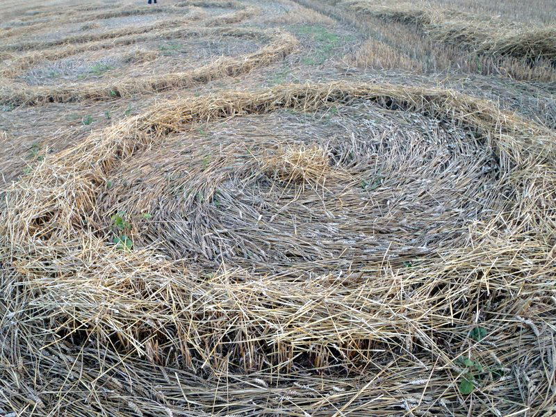Rue Lenoir, Belgium crop circle, aerial photo 4