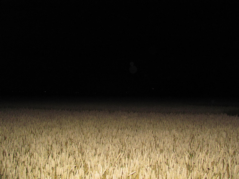 Standdaarbuiten, Netherlands crop circle, aerial photo 36