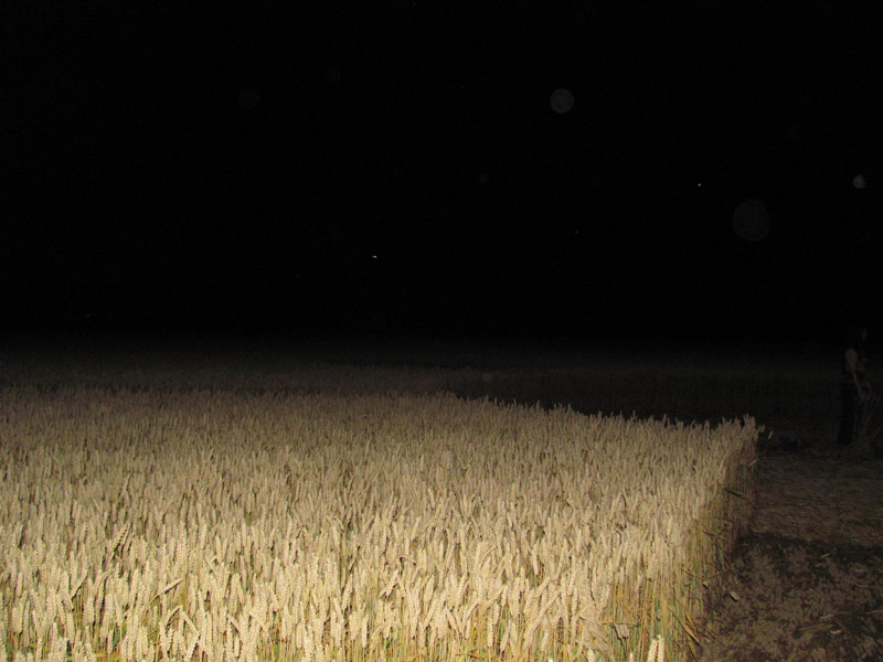 Standdaarbuiten, Netherlands crop circle, aerial photo 37