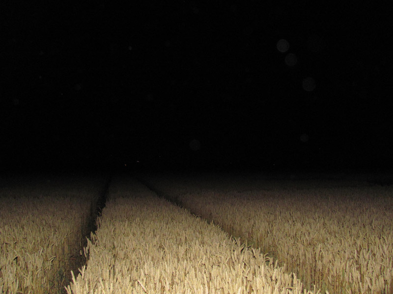 Standdaarbuiten, Netherlands crop circle, aerial photo 38