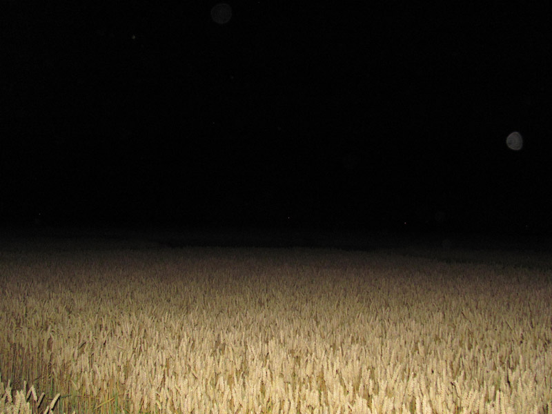 Standdaarbuiten, Netherlands crop circle, aerial photo 39
