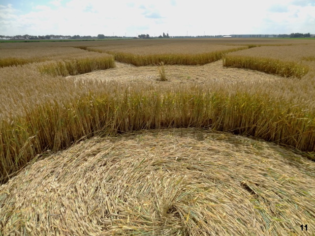 Standdaarbuiten, Netherlands crop circle, aerial photo 11