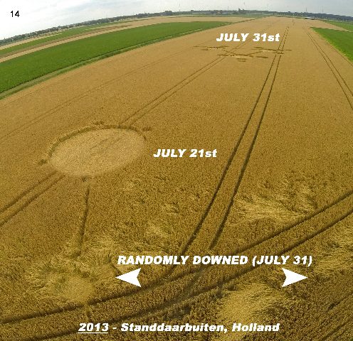 Standdaarbuiten, Netherlands crop circle, aerial photo 14