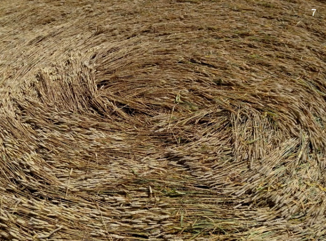 Standdaarbuiten, Netherlands crop circle, aerial photo 7