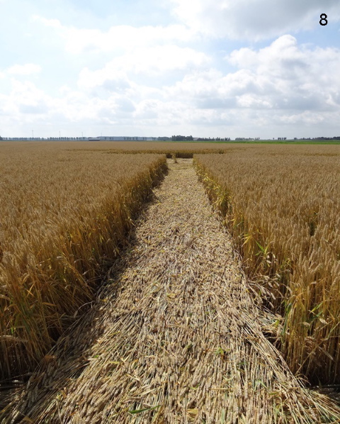 Standdaarbuiten, Netherlands crop circle, aerial photo 8