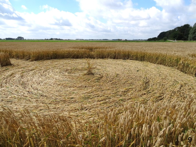 Standdaarbuiten, Netherlands crop circle, aerial photo 9