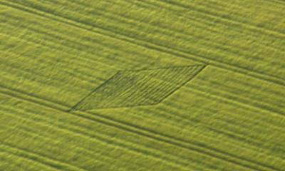 Stanton St Bernard, Wiltshire crop circle, aerial photo 6