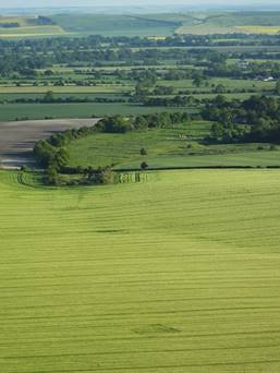 Stanton St Bernard, Wiltshire crop circle, aerial photo 9