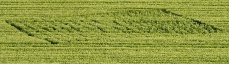 Stanton St Bernard, Wiltshire crop circle, aerial photo 3