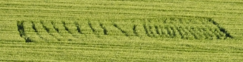 Stanton St Bernard, Wiltshire crop circle, aerial photo 4