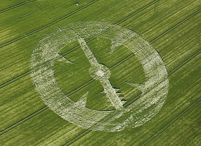 Stanton St Bernard (2), Wiltshire crop circle, aerial photo 5