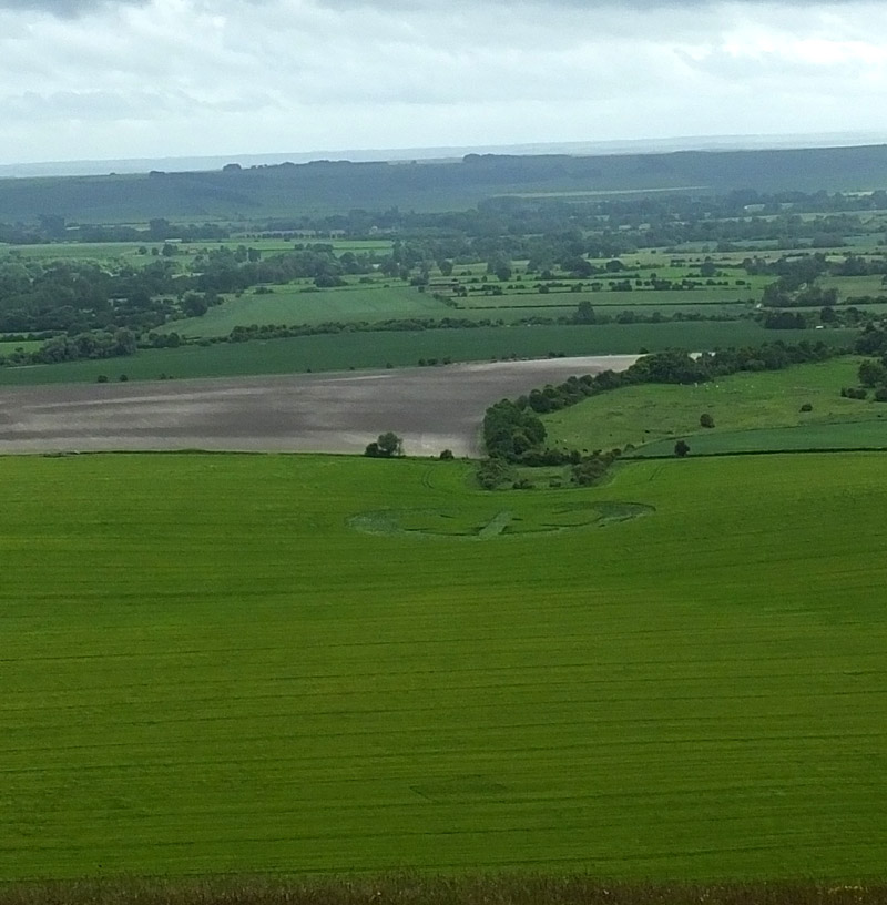 Stanton St Bernard (2), Wiltshire crop circle, aerial photo 47