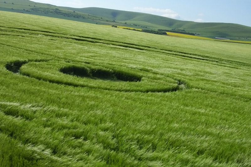 Stanton St Bernard (2), Wiltshire crop circle, aerial photo 65