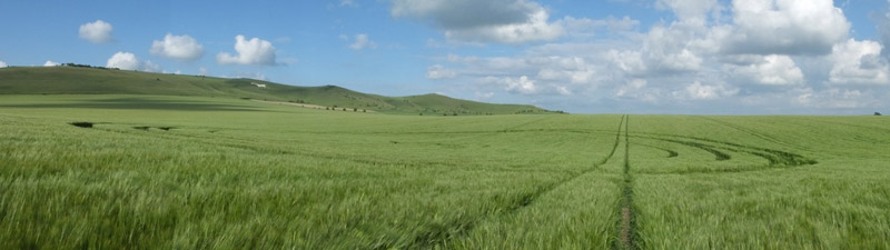 Stanton St Bernard (2), Wiltshire crop circle, aerial photo 58