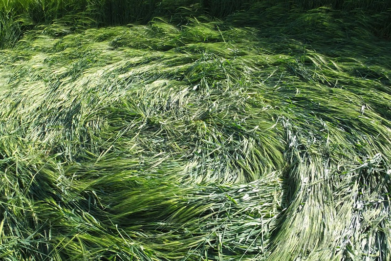 Stanton St Bernard (2), Wiltshire crop circle, aerial photo 62