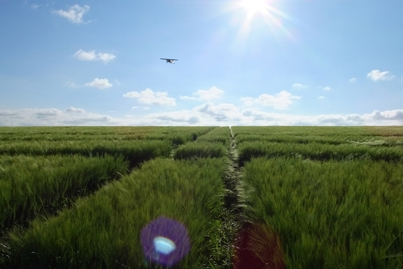 Stanton St Bernard (2), Wiltshire crop circle, aerial photo 59