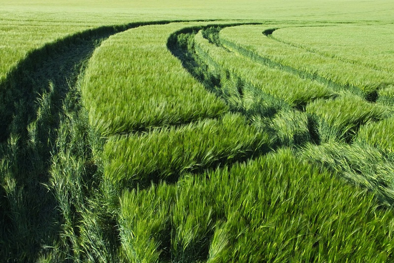 Stanton St Bernard (2), Wiltshire crop circle, aerial photo 61