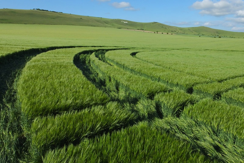 Stanton St Bernard (2), Wiltshire crop circle, aerial photo 63