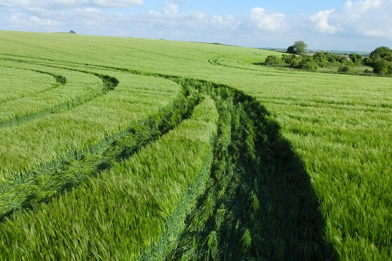Stanton St Bernard (2), Wiltshire crop circle, aerial photo 66